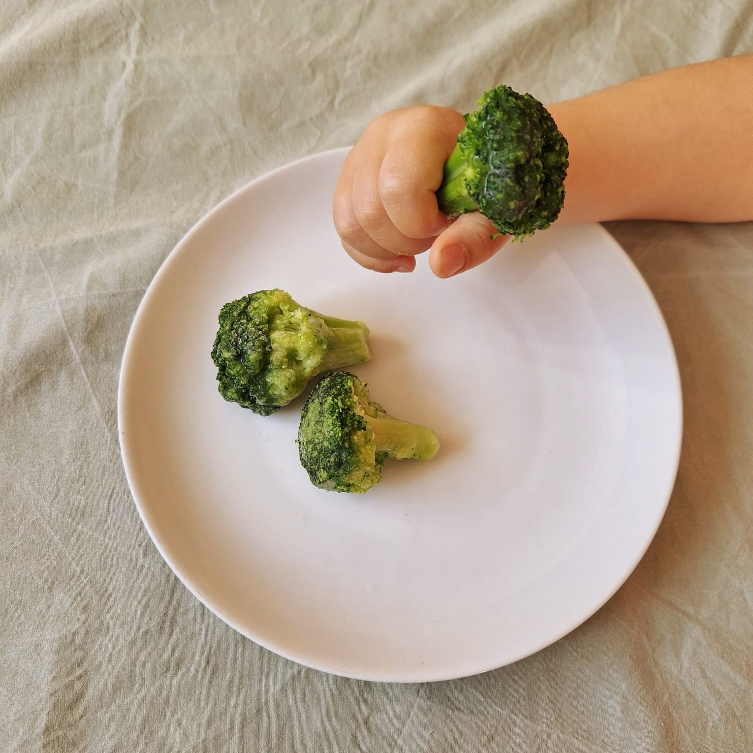 Yas' Familienbegleitung | bindungsorientierte Familienbegleitung BFB Institut | Lindau am Bodensee | Stillberatung | Schlafberatung | Beikostberatung | Bedürfnisorientiert | Ravensburg Stillberatung | Wangen Stillberatung| Friedrichshafen Stillberatung | Lindenberg Stillberatung | Bregenz Stillberatung | Dornbirn Stillberatung | Kressbronn Stillberatung