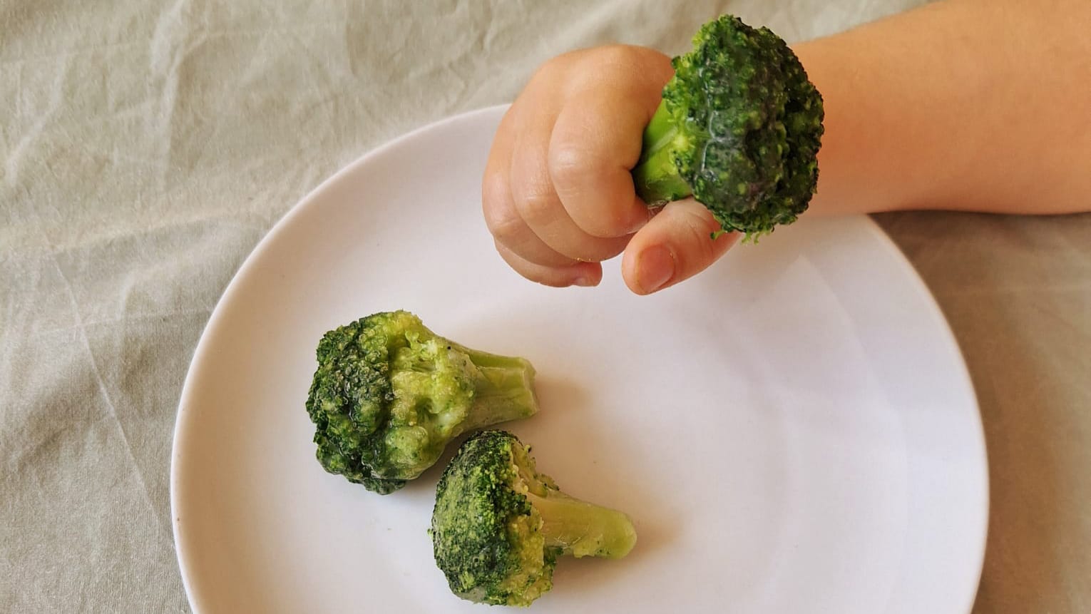 Yas' Familienbegleitung | bindungsorientierte Familienbegleitung BFB Institut | Lindau am Bodensee | Stillberatung | Schlafberatung | Beikostberatung | Bedürfnisorientiert | Ravensburg Stillberatung | Wangen Stillberatung| Friedrichshafen Stillberatung | Lindenberg Stillberatung | Bregenz Stillberatung | Dornbirn Stillberatung | Kressbronn Stillberatung